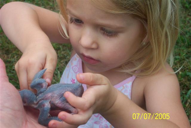 Little girl with baby Purple Martin